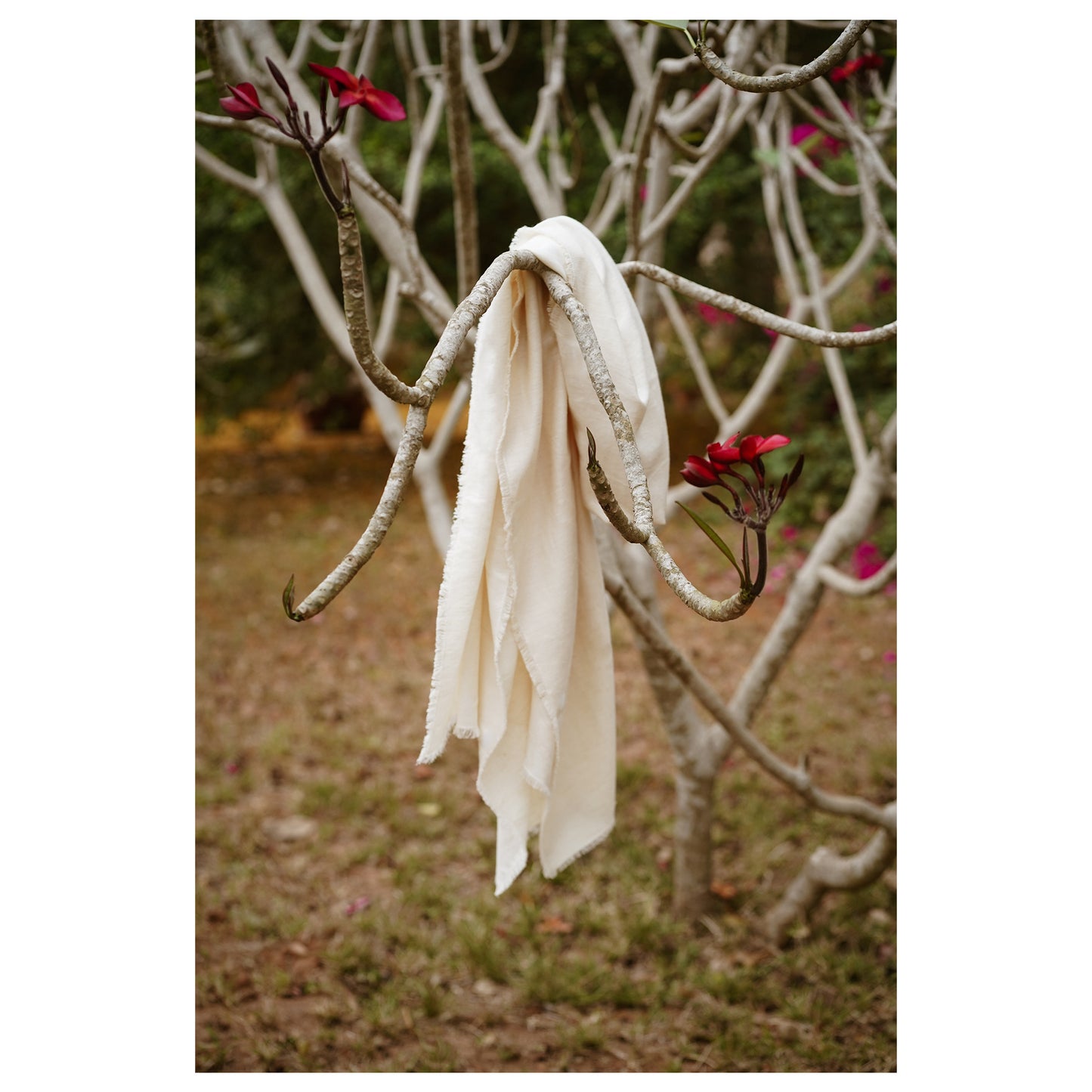 NATURAL WHITE SHAWL