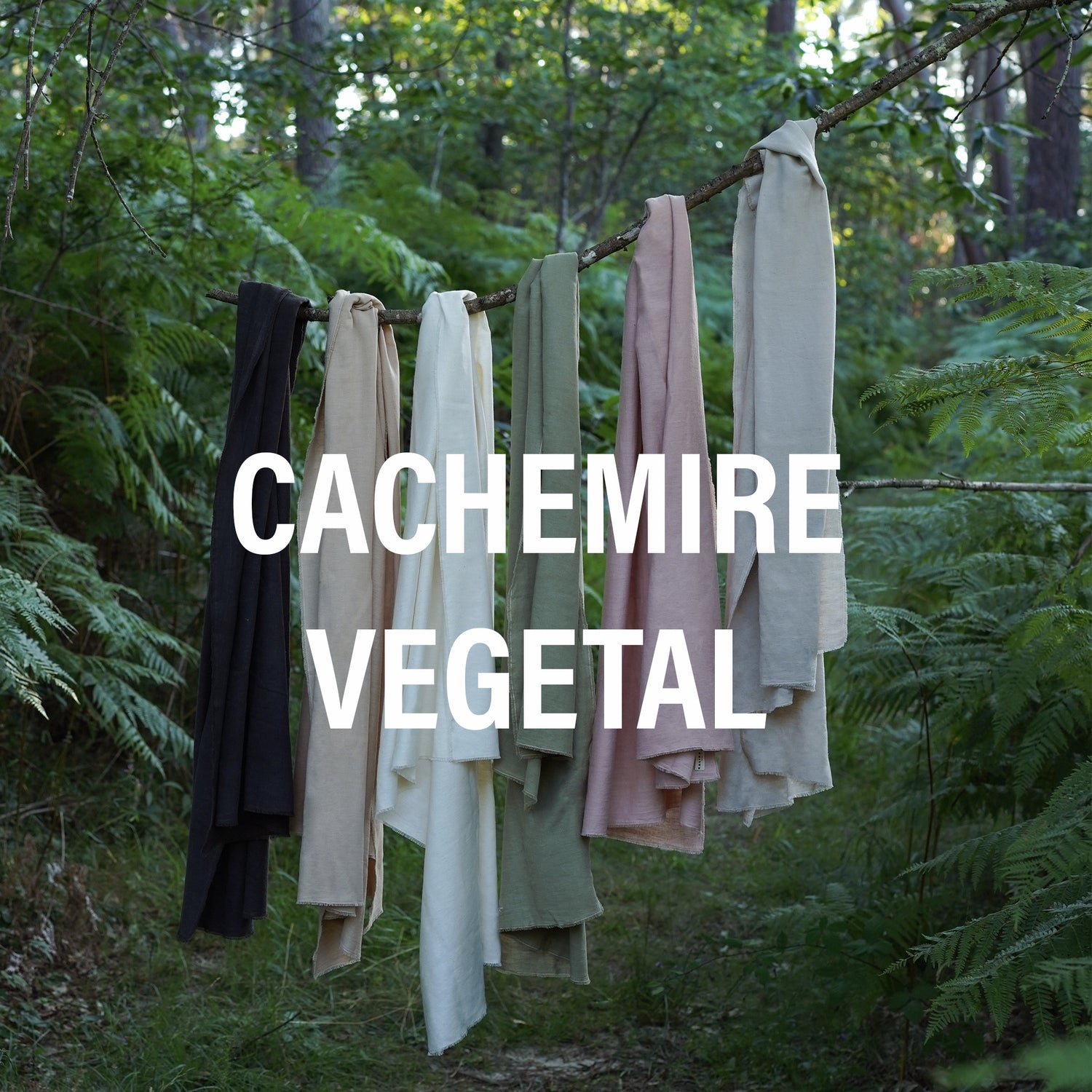 CACHEMIRE VEGETALE